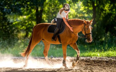 Inflammatory Airway Disease – Targeted Treatments Help Horses Breathe Easy