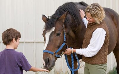 Feed & Forage Tips to Reduce IAD Symptoms