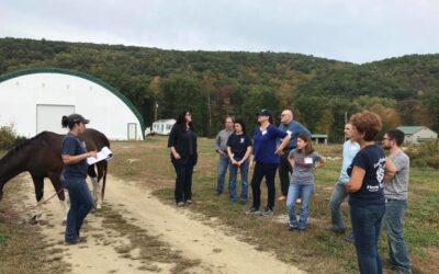 In the Arena with Lucky Orphan’s Herd