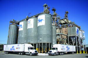 Seminole & Lucerne Farms: A Shared Commitment to Superior Feed