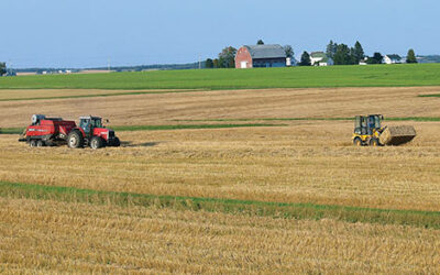 Maine-Grown Hay? An Excellent Choice