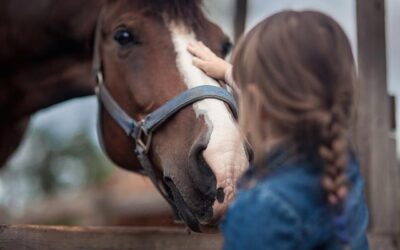 Equine Immunizations Part II: Virus Reports Drive Concerns for Horse Owners