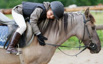 Equine Mobility and the Spine: Detecting Signs of Restriction