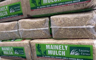 Mainely Mulch Sighting