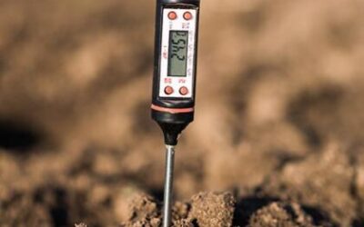 Soil pH Part 2: Soil Sampling Advice from UMaine Scientist Bruce Hoskins