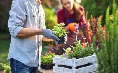 Ways to Keep Your Garden Healthy