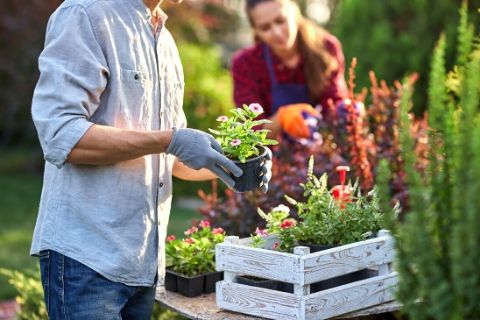 Ways to Keep Your Garden Healthy