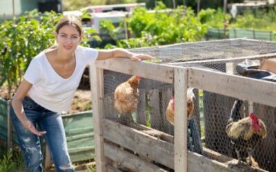 Tips for Raising Backyard Chickens for Beginners