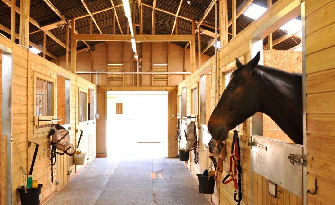 Tips for Keeping a Horse on Stall Rest