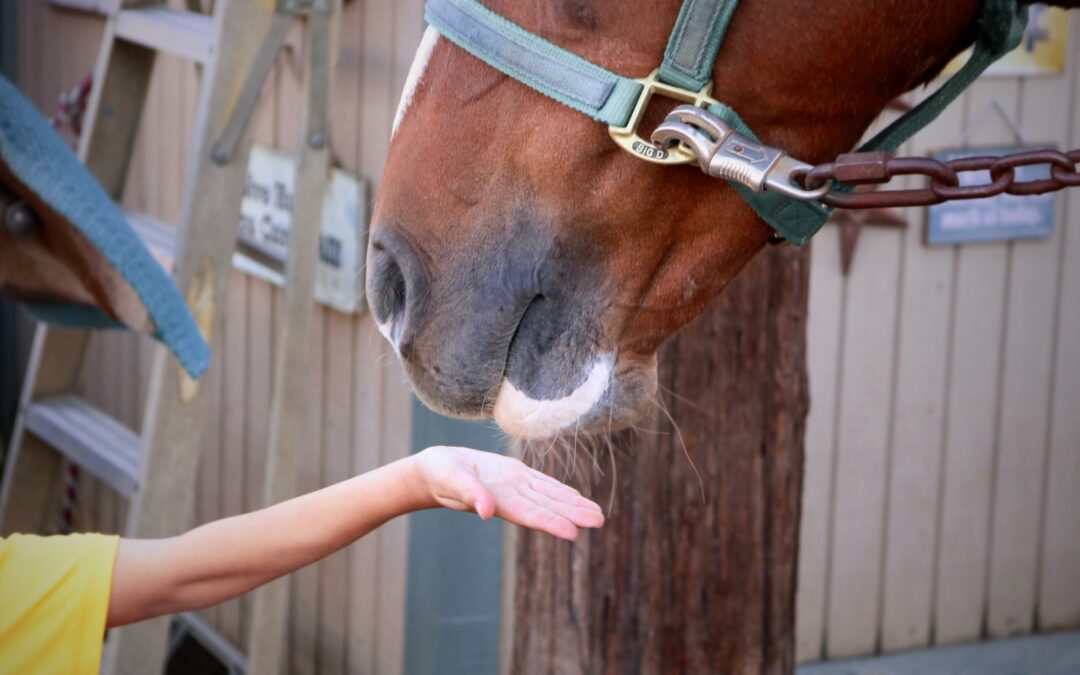 Proper Treats for Insulin-Resistant Horses
