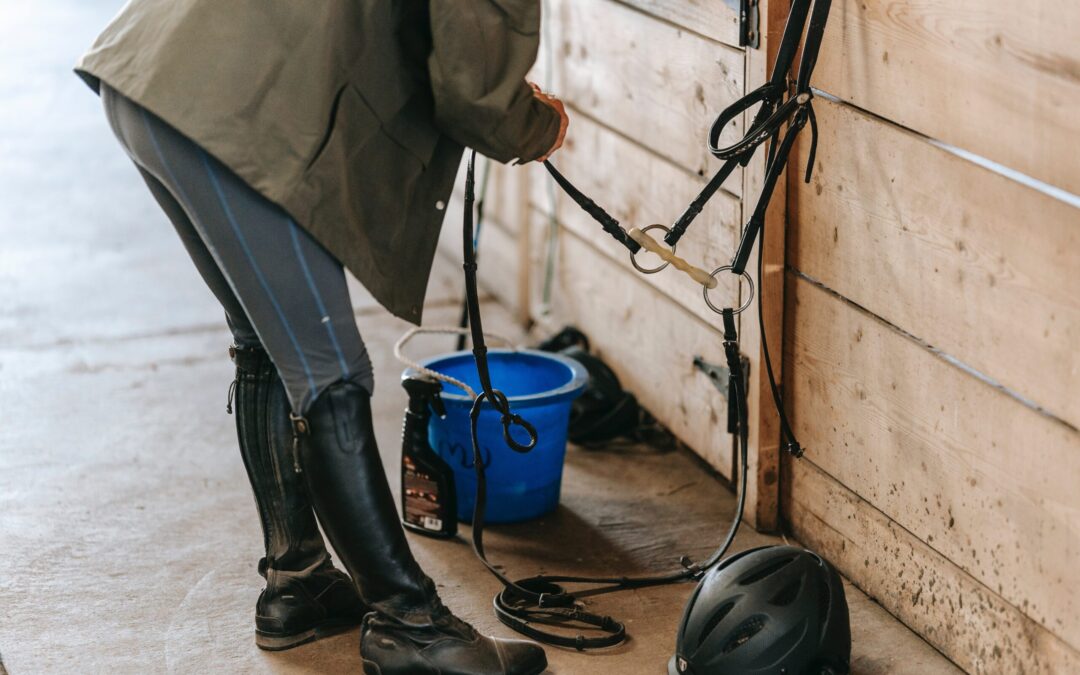 Barn Cleaning Tips Every Equestrian Should Know