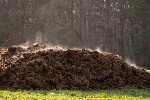 A Look at Composting Manure, From Coop to Garden