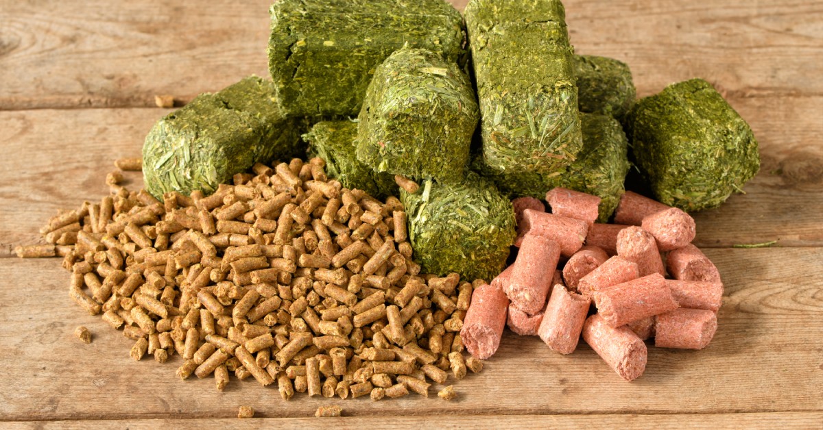 Timothy hay cubes, pink peppermint treats, and pelleted horse feed, arranged in a neat pile on a wooden table.