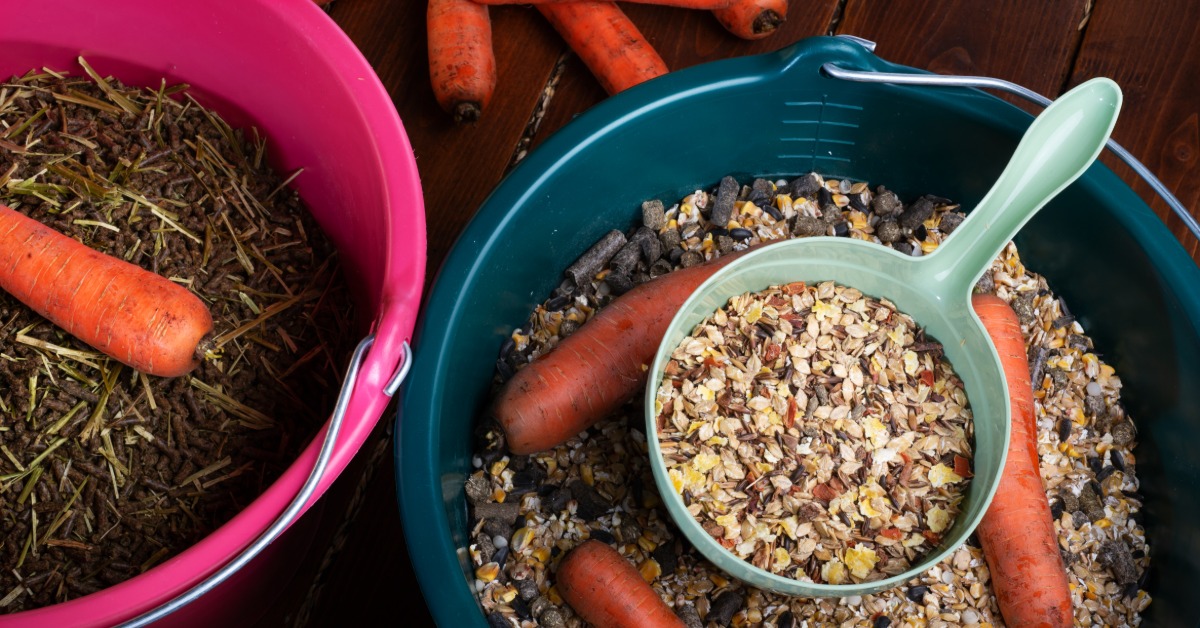 A close-up of buckets filled with horse feed granules and muesli, with whole carrots resting on top of each one.