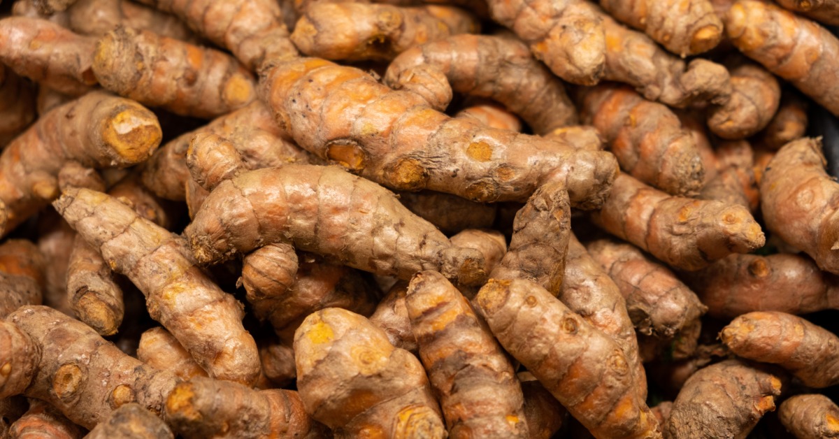 A pile of fresh turmeric roots with rough brown-orange skin and cut ends showing bright yellow centers.