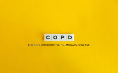 COPD in Horses: A Guide for Identification and Treatment